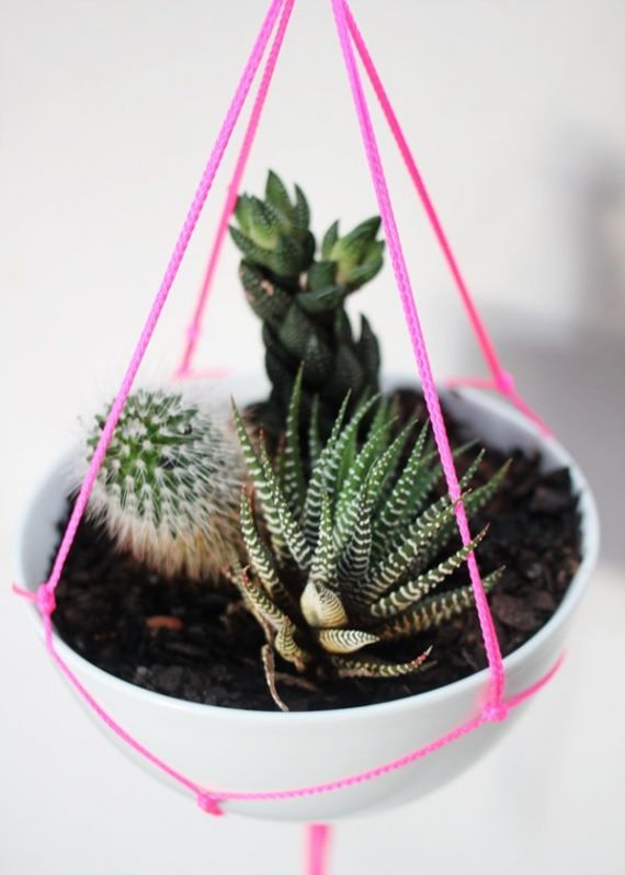 DIY Indoor Hanging Planters that Add Style to your Space • The Garden Glove