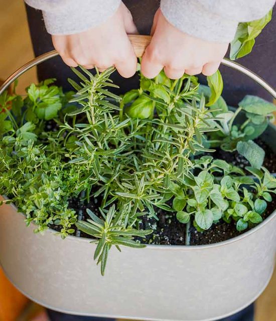 14 Brilliant DIY Indoor Herb Garden Ideas • The Garden Glove