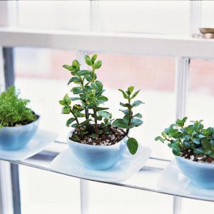 14 Brilliant DIY Indoor Herb Garden Ideas • The Garden Glove