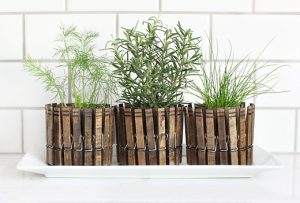 14 Brilliant DIY Indoor Herb Garden Ideas • The Garden Glove
