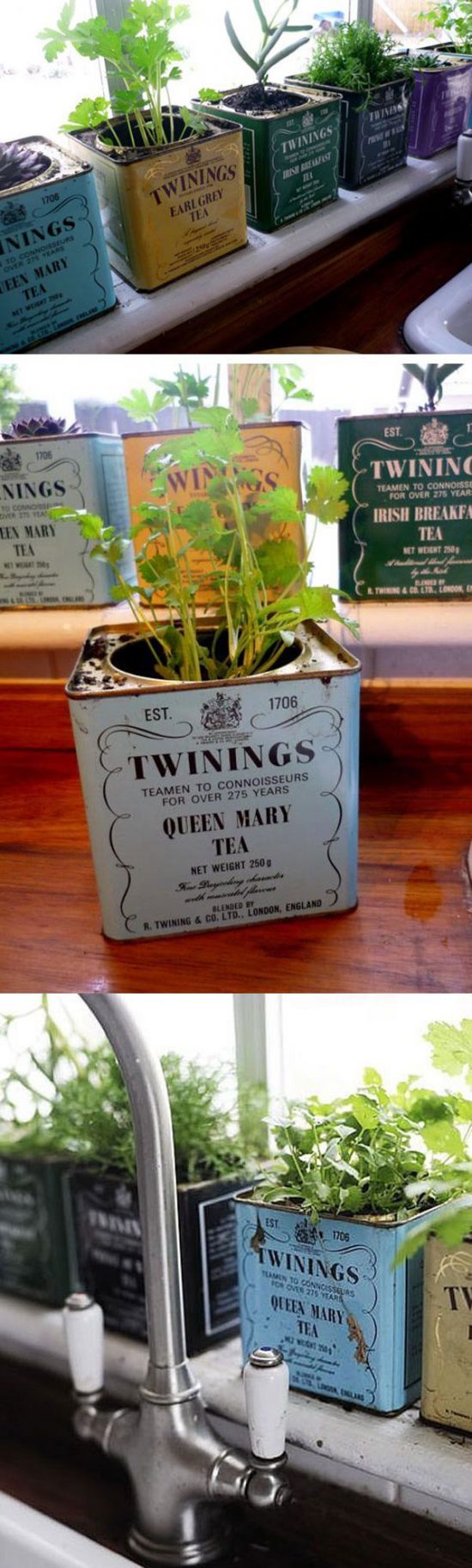 14 Brilliant DIY Indoor Herb Garden Ideas • The Garden Glove