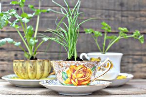 14 Brilliant DIY Indoor Herb Garden Ideas • The Garden Glove