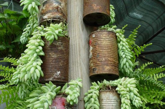 More Unique Garden Containers You Never Thought Of