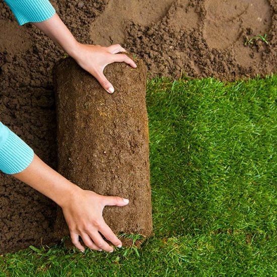 How to Lay Sod in 6 Easy to Follow Steps