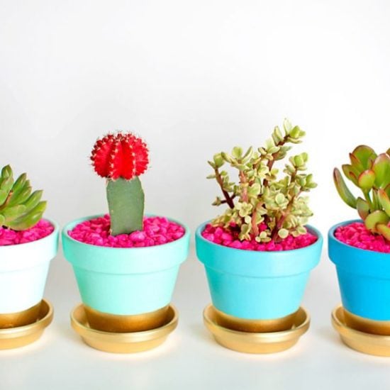 Easy DIY Project : Painting Terra Cotta Pots