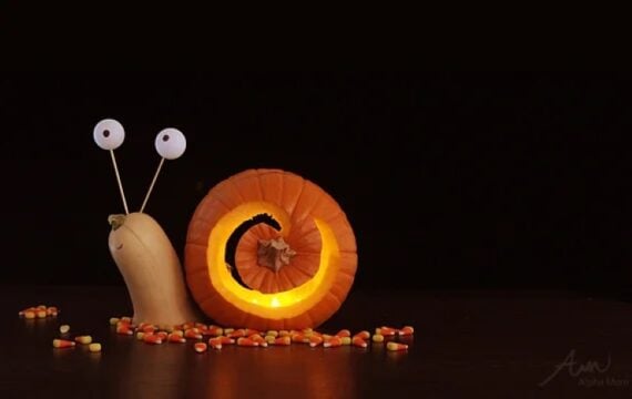 Pumpkins arranged to look like a glowing snail with candy corn scattered around.