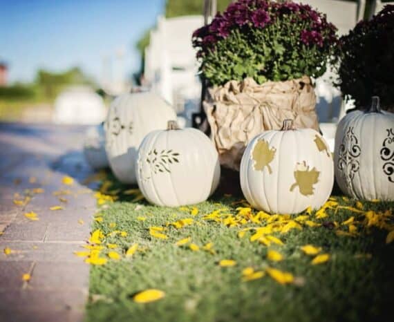 Elegant white pumpkins with carved florals and leaves for autumn decoration.