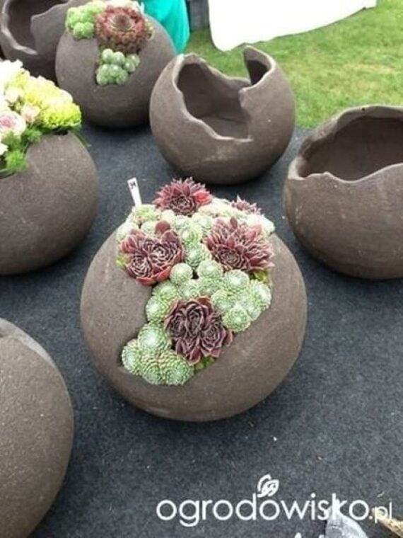 Round concrete bowl filled with an assortment of colorful succulents