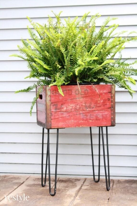 Red wooden crate with hairpin legs filled with a fern plant
