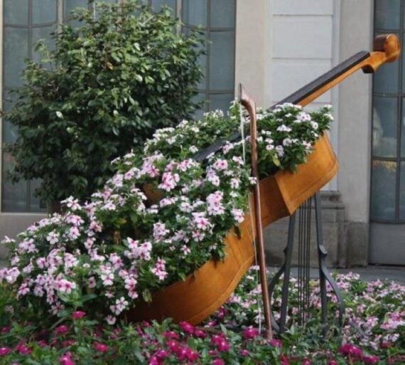 Old string instrument filled with plants and displayed outdoors