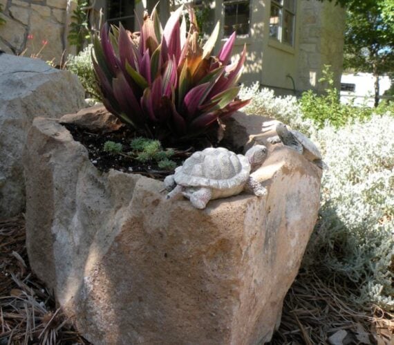 Natural rocks arranged together with succulents growing between them