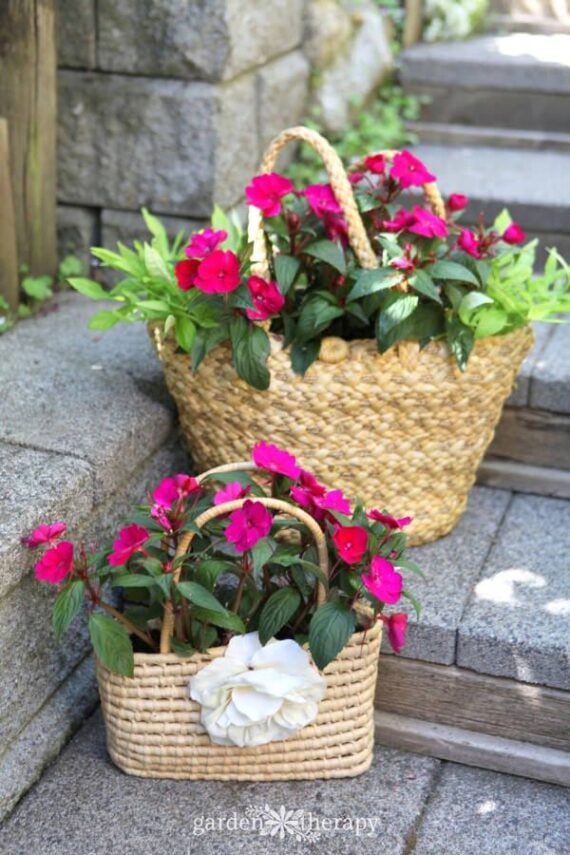 Woven straw handbag hanging outdoors and filled with greenery