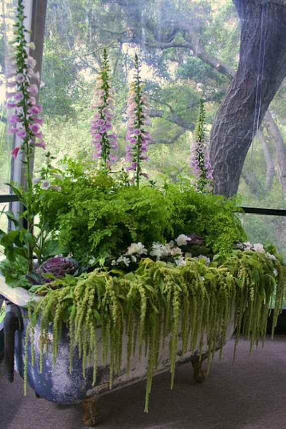 Old white bathtub outdoors overflowing with colorful flowers and greenery