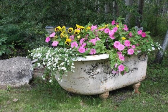 Old bathtub on screened in porch overflowing with flowers and greenery