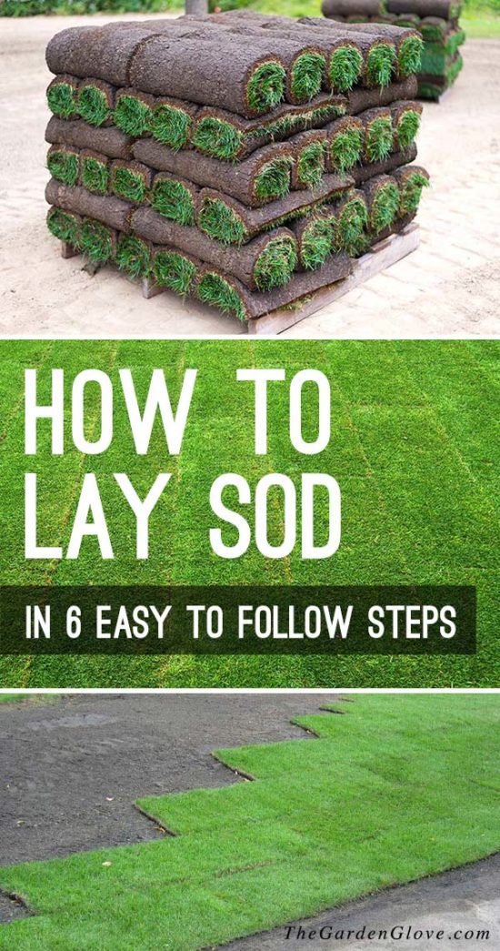 How to Lay Sod in 6 Easy to Follow Steps • The Garden Glove