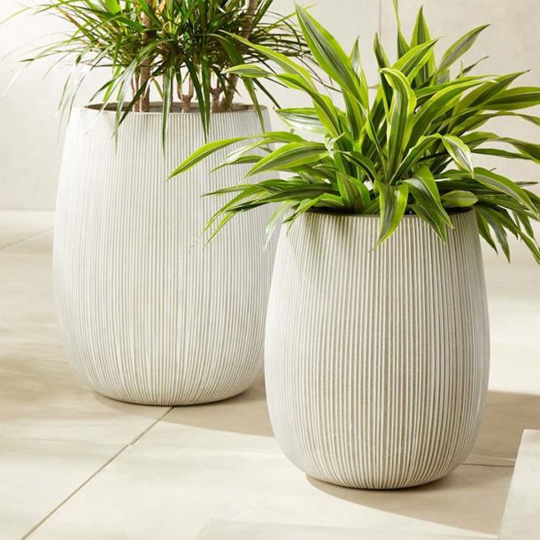 Best Places to Buy Concrete Planter Pots Online • The Garden Glove