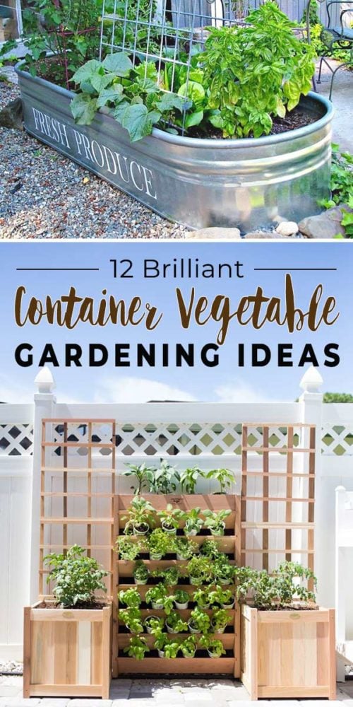 12 Brilliant Container Vegetable Gardening Ideas - The Garden Glove ...