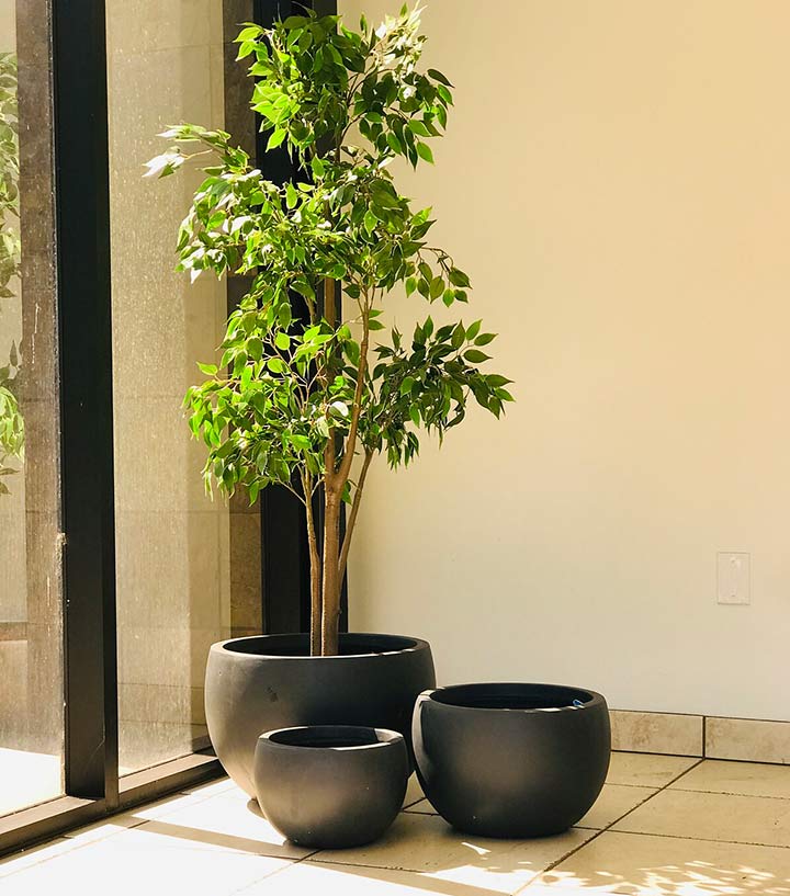 Best Places to Buy Concrete Planter Pots Online • The Garden Glove