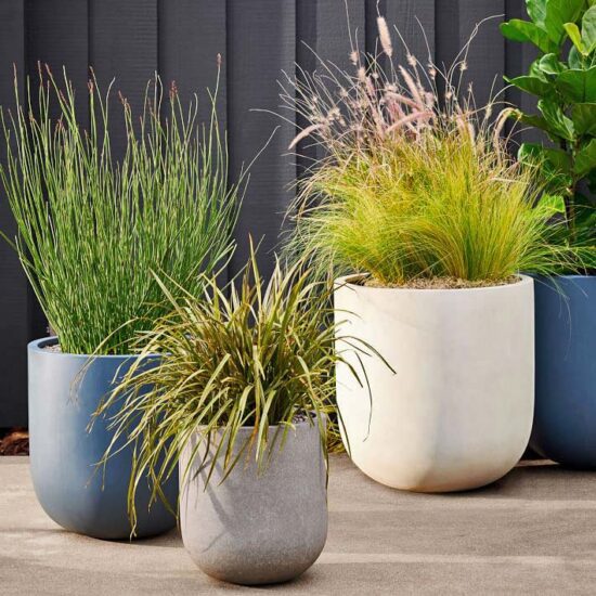 Best Places to Buy Concrete Planter Pots Online • The Garden Glove