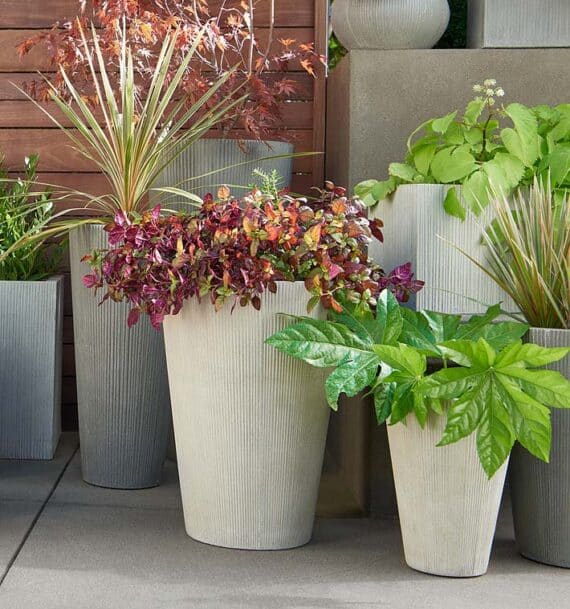 Best Places to Buy Concrete Planter Pots Online • The Garden Glove