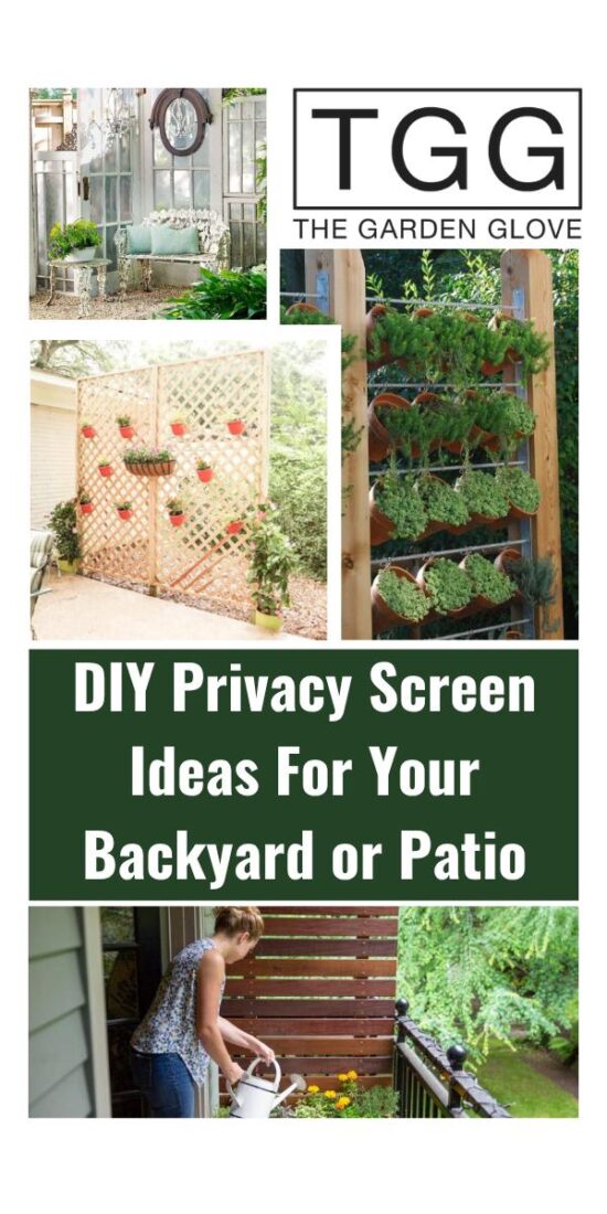 DIY Privacy Screen Ideas For Your Backyard or Patio • The Garden Glove