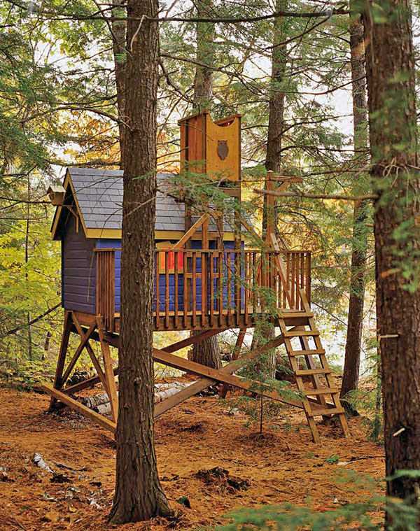 DIY wooden tree house with small deck and ladder built among tall pine trees.