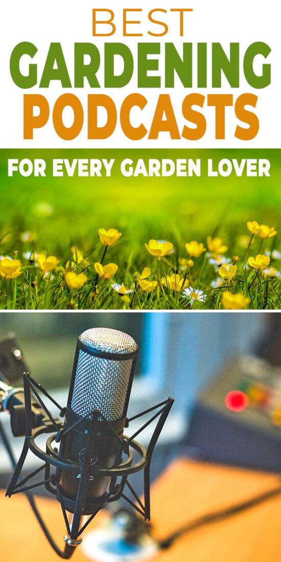 Best Gardening Podcasts for Every Garden Lover • The Garden Glove