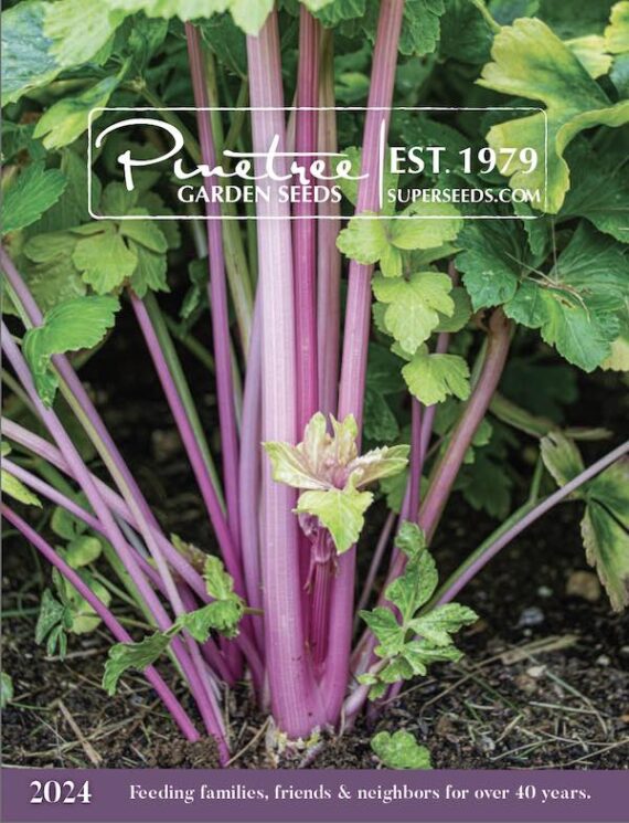 Top 10 Seed Catalogs for 2024 Plus More Online Seed Stores and