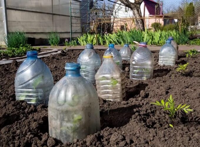 DIY Raised Garden Bed Covers to Protect Plants from Frost • The Garden ...