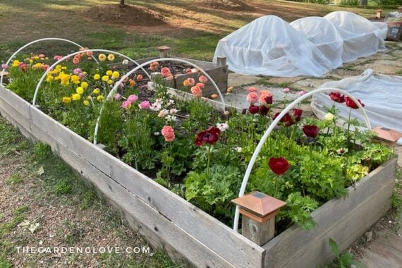 DIY Raised Garden Bed Covers to Protect Plants from Frost • The Garden ...