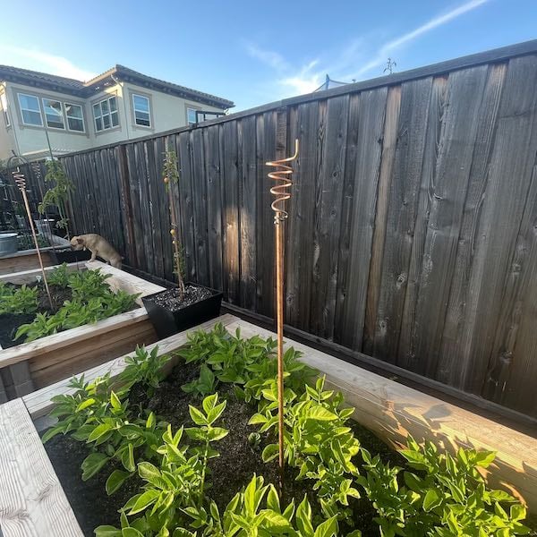 Electroculture Gardening: the Trend and the Science Behind It • The ...