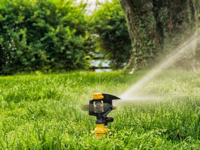 How to Keep Deer Out of the Garden • The Garden Glove