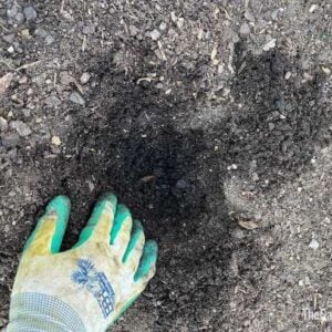 collecting soil for a soil test