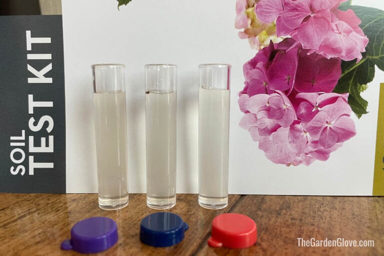 How to Use a Home Soil Test Kit • The Garden Glove