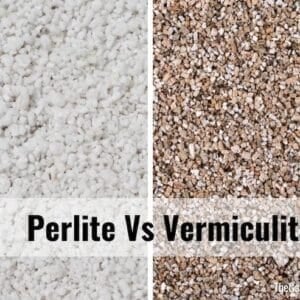 side by side close up photos of perlite and vermiculite