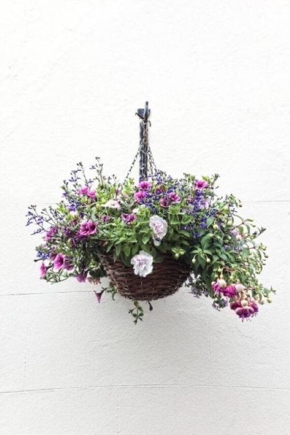 A variety of large monochrome flowers all mixed together in a hanging planter
