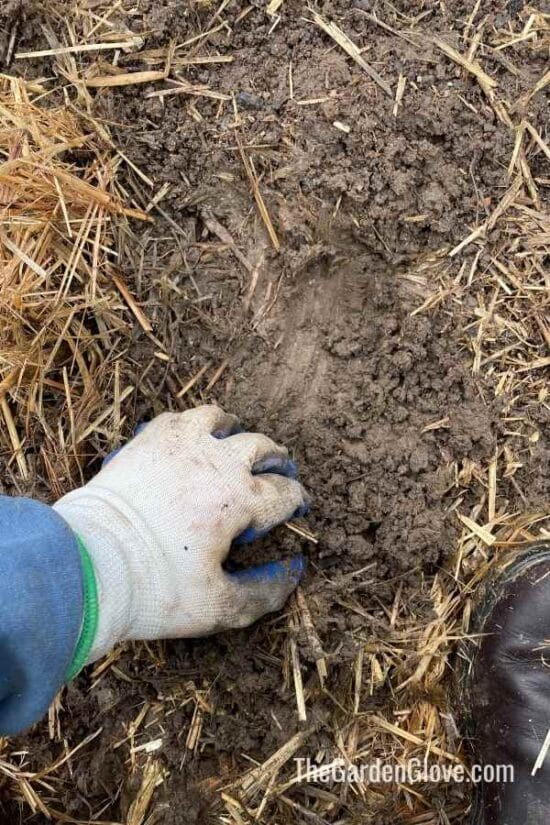 BEST WAY TO PREPARE SOIL FOR GARDEN visual data 4