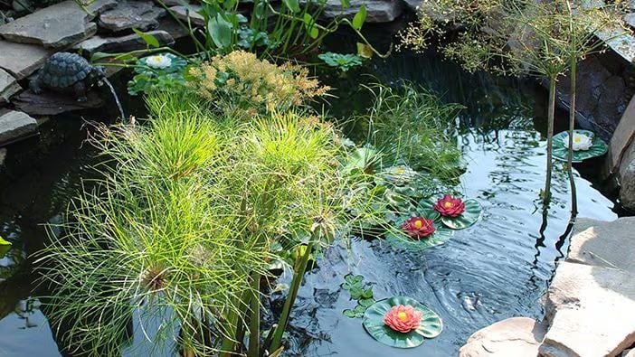 DIY Backyard Pond Ideas to Build in Your Garden • The Garden Glove