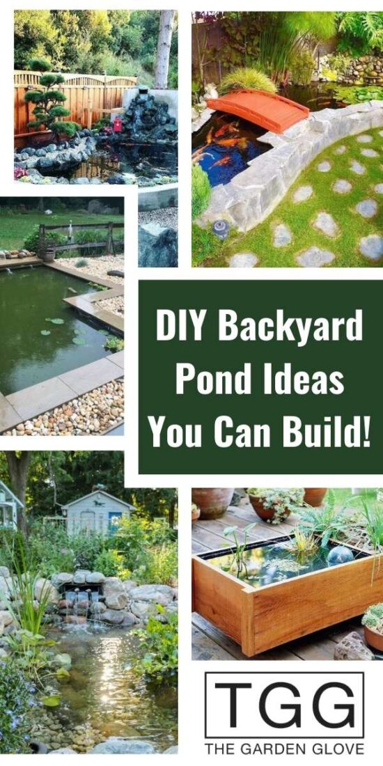 DIY Backyard Pond Ideas to Build in Your Garden • The Garden Glove