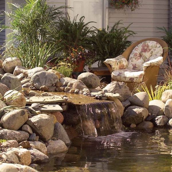 DIY Backyard Pond Ideas to Build in Your Garden • The Garden Glove