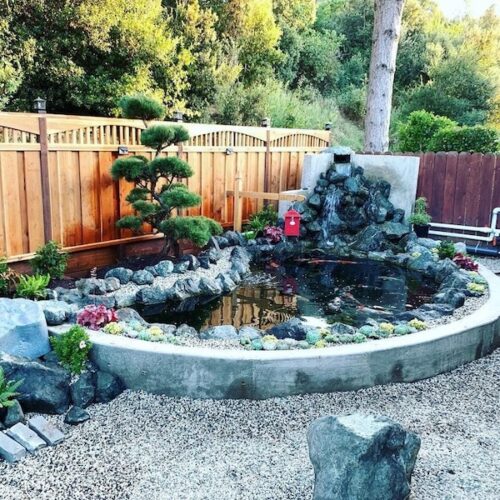 DIY Backyard Pond Ideas to Build in Your Garden • The Garden Glove